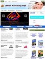 Offline Marketing Tips Niche Blog PLR Template