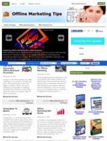 Offline Marketing Tips Niche Blog PLR Template